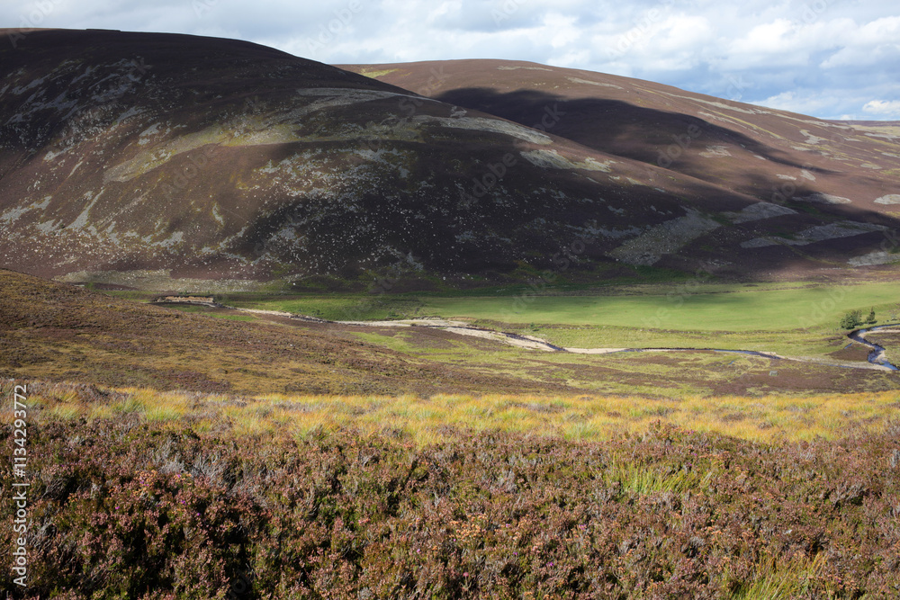 Obraz premium Hiking trail to Mount Keen from Glen Tanar - Aberdeenshire - Scotland - UK
