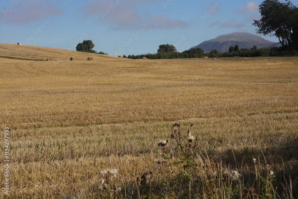 Fototapeta premium Loch Leven Heritage Trail - Bishop hill - Kinross - Perthshire - Scotland - UK