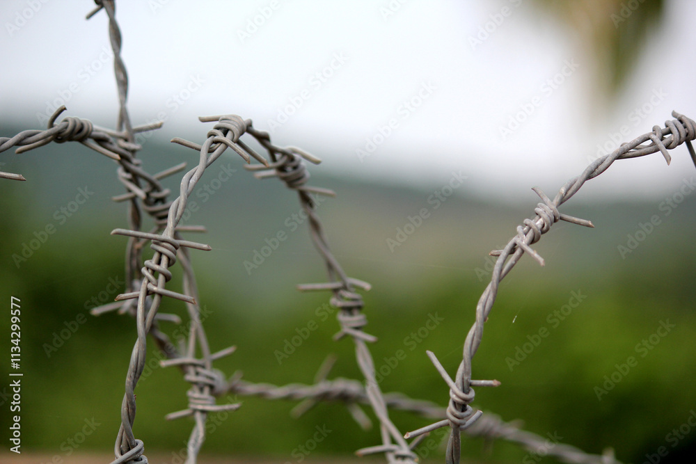 close up of wire fence