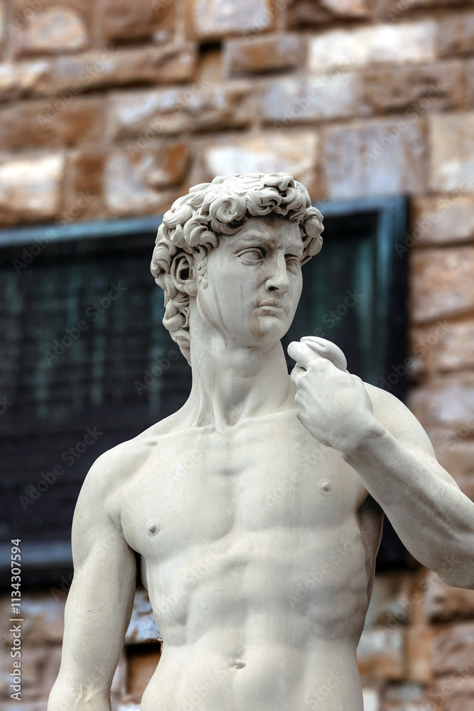 Obraz premium Detail of the sculpture David - by Michelangelo, first presented to the public in the Piazza della Signoria in Florence on June 8, 1504.