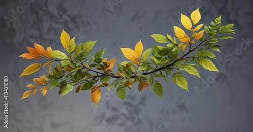 A single branch with a mix of young and mature leaves, California Bay Laurel Branches, deciduous trees photo