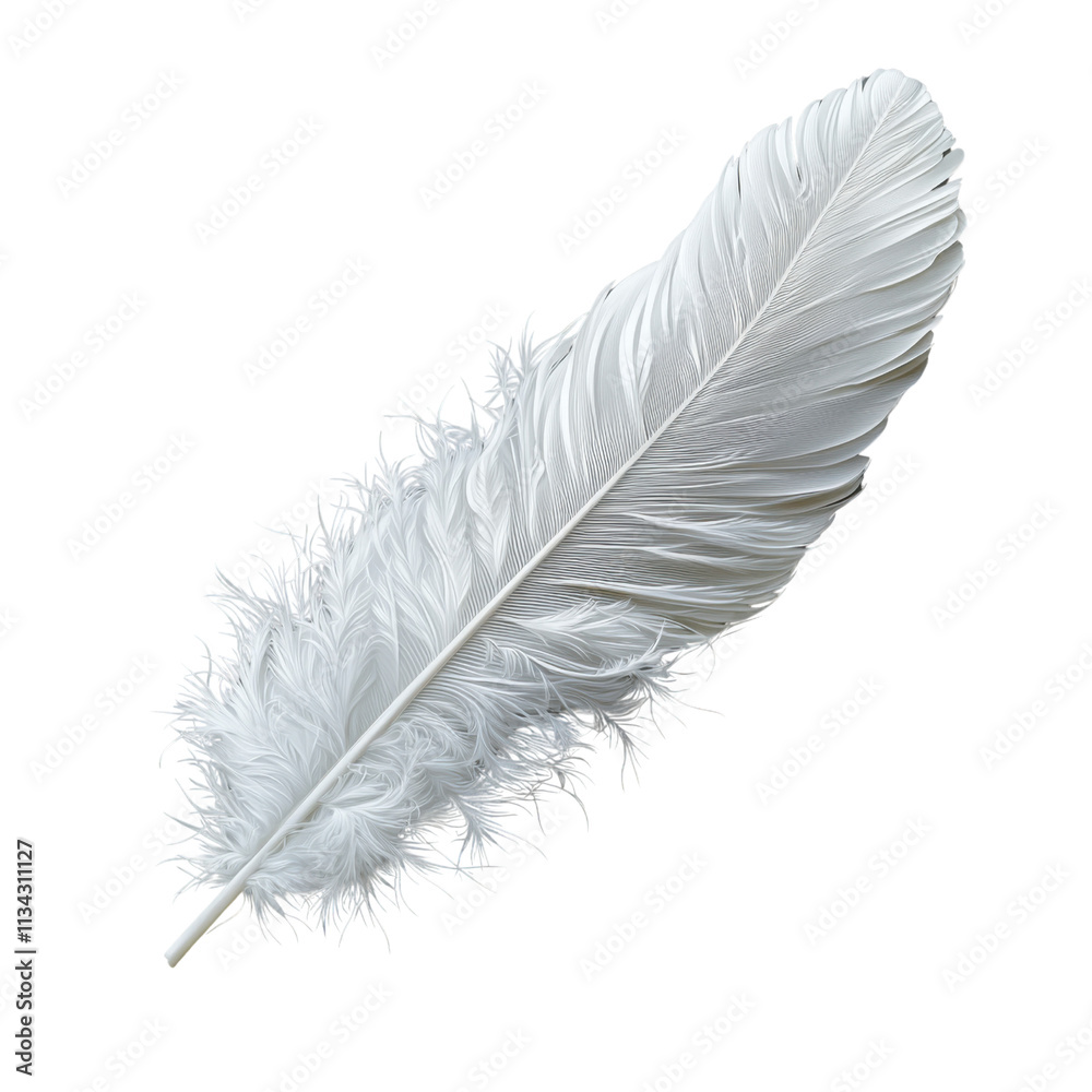 Delicate white feather action nature scene close-up content tranquil environment aesthetic viewpoint translate background concept Delicate white feather action nature scene close-up content tranquil environment aesthetic viewpoint translate background concept