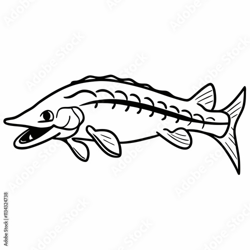 Happy stuergon fish  ,White Background