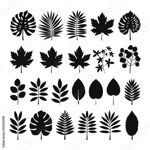 Black silhouettes of tropical palm leaves isolated on transparent background. Exotic plants leaves set