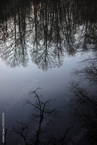 Reflection of trees in Etang des Ponts Saint Quentin - Gambaiseuil - Yvelines - France photo