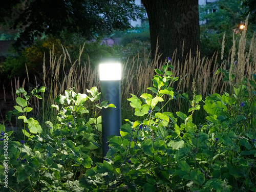 Glowing Garden Light Illuminating Lush Green Plants and Tall Grasses at Dusk