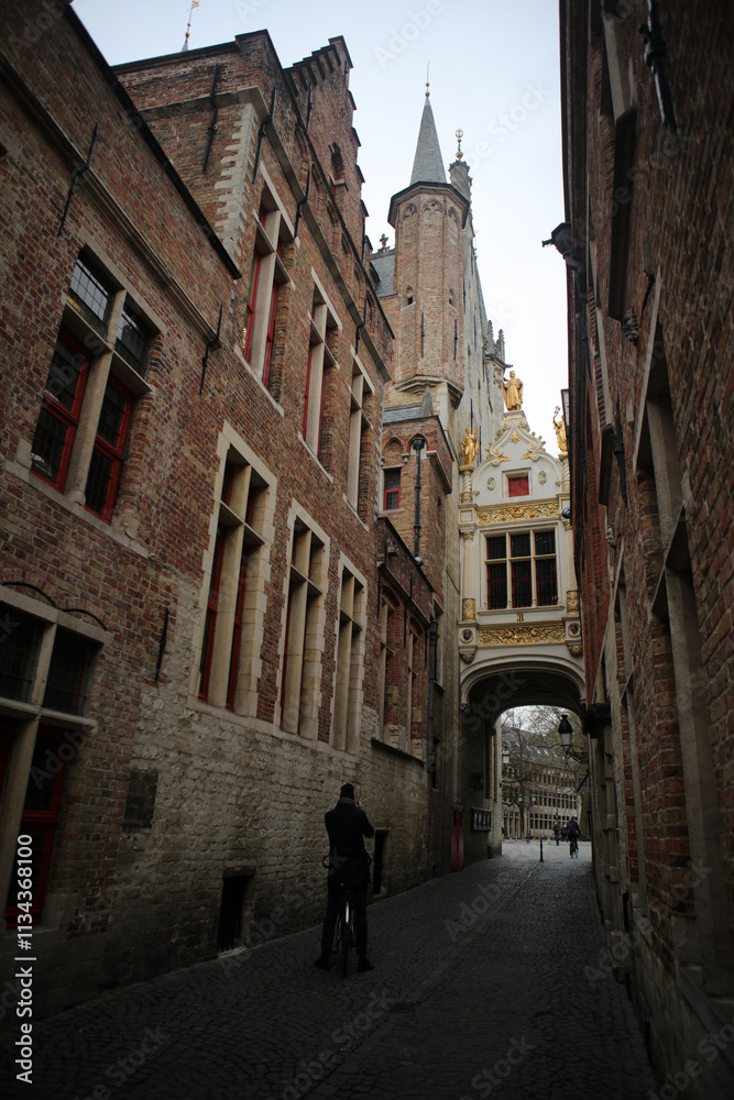 Fototapeta premium Old city of Bruges - Province of West Flanders - Flemish region - Belgium