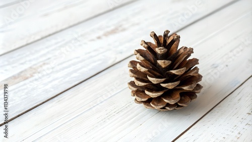 A single, brown pine cone rests on a weathered, white wooden surface with visible wood grain and knots. The pine cone is positioned slightly off-center, creating a natural and inviting composition.