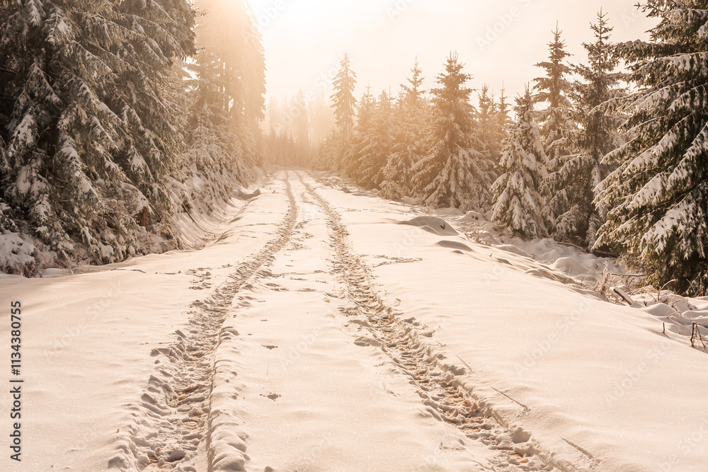 Eastern Sudetes, Snow-covered mountain hiking trail, leads to the top of the mountain through snow-covered forest and fog over the trees, winter landscape in the mountains on a sunny day.
