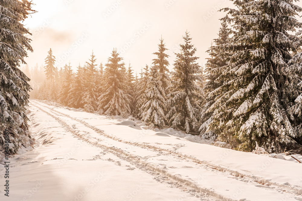 Eastern Sudetes, Snow-covered mountain hiking trail, leads to the top of the mountain through snow-covered forest and fog over the trees, winter landscape in the mountains on a sunny day.