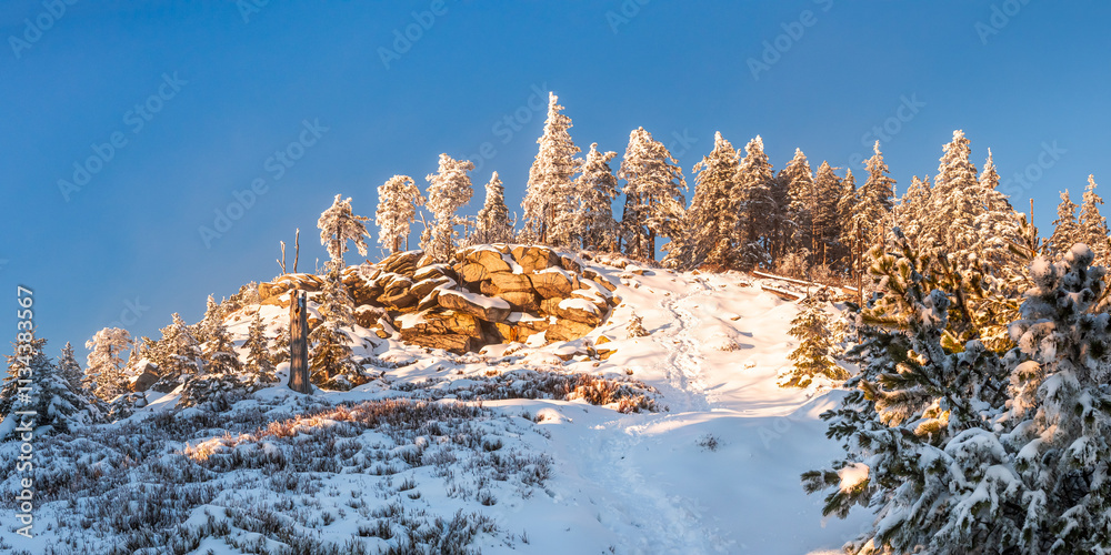 Eastern Sudetes, View of snow-covered trees and mountain peak with viewpoint view from hiking trail during winter hike in the mountains, winter landscape in the mountains on a sunny day.