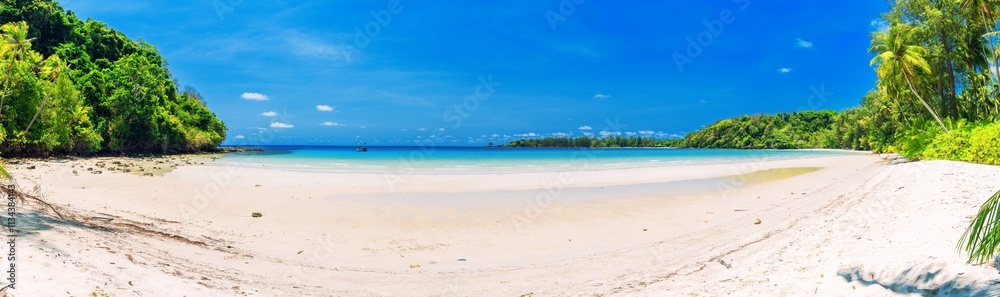 Nature panoramic landscape: Amazing Panorama sandy tropical beach with coconut palm tree and crystal clear sea water Nature panoramic landscape: Amazing Panorama sandy tropical beach with coconut palm tree and crystal clear sea water