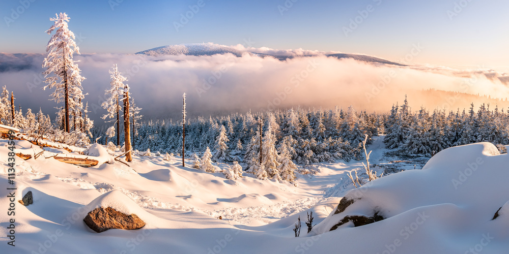 Eastern Sudetes, View of snowy mountain range in fog from hiking trail during winter hike in mountains, viewpoint of wide winter landscape in mountains at sunset.