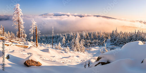 Obraz na płótnie Eastern Sudetes, View of snowy mountain range in fog from hiking trail during winter hike in mountains, viewpoint of wide winter landscape in mountains at sunset. w salonie