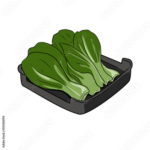 Isolated BOK CHOY in black hot pot plate,vegetables vector hand drawing illustration,Green leaves and whole part of bok choy,pak choi or pok choi Chinese cabbage.Hight fiber food, hot pot ingredients.