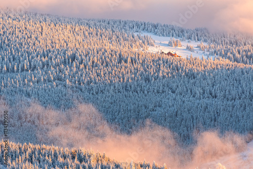 View of snow-covered forest in fog with a shelter in a clearing view from a hiking trail during a winter hike in the mountains, viewpoint on a wide winter landscape in the mountains at sunset.