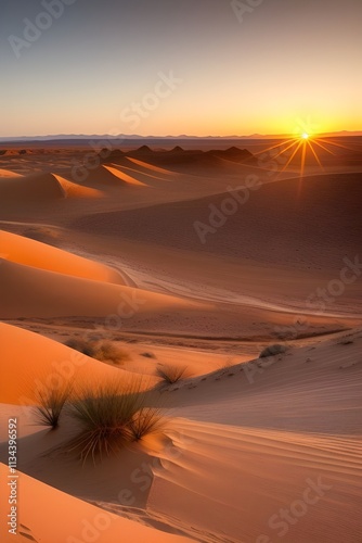 sunset in the desert
