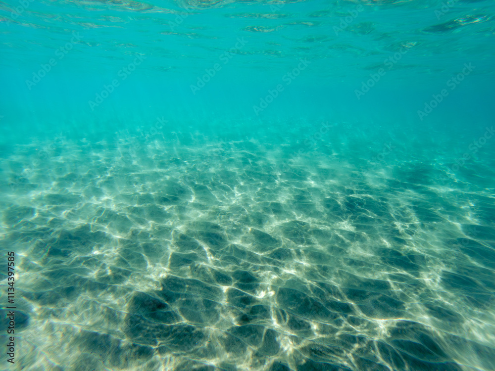 Fototapeta premium The Underwater World in Egypt