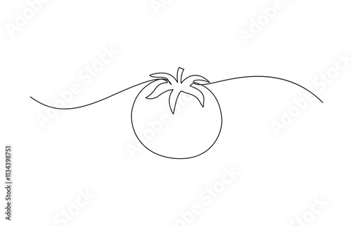 Continuous one line tomato for grocery store, Tomato in continuous line art drawing style. Ripe tomato fruit black linear sketch isolated, Single one line drawing half sliced healthy organic tomato.