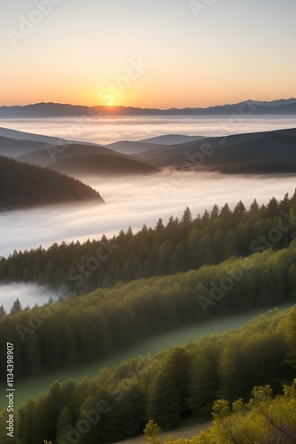 sunrise over the river