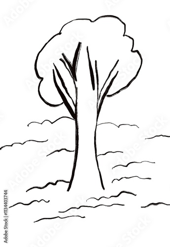 tree with roots line outline art hand drawn png 