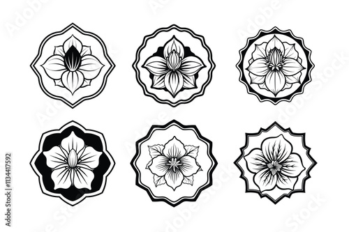 Abutilon flowers design, labeled medium line art vector illustration. photo