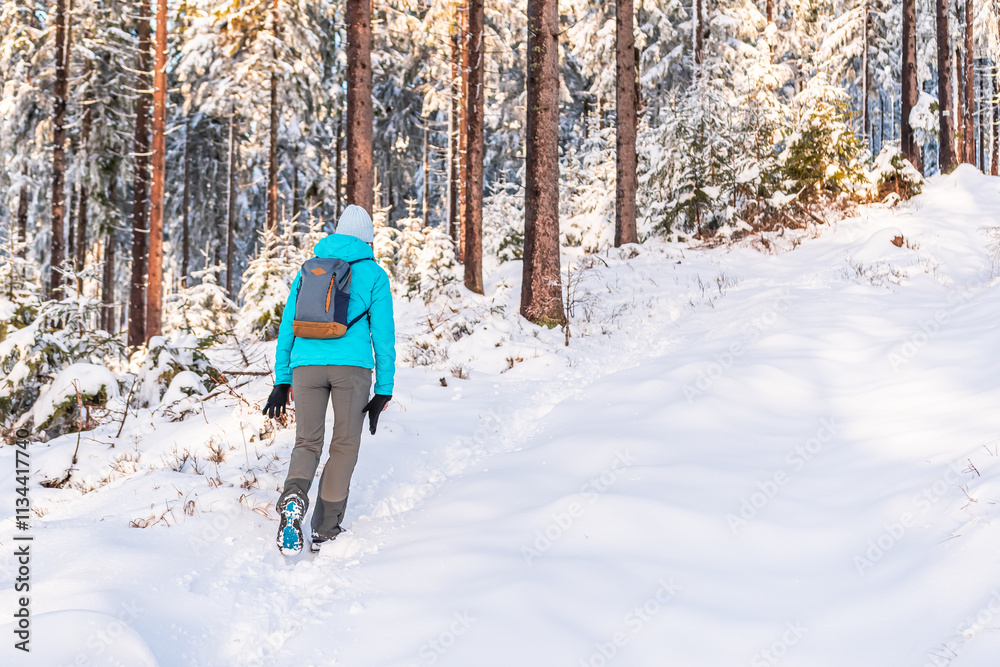 Eastern Sudetes, Young woman hikes on a mountain snow-covered trail, walks on white snow through the forest and looks at the snow-covered trees, winter landscape in the mountains.