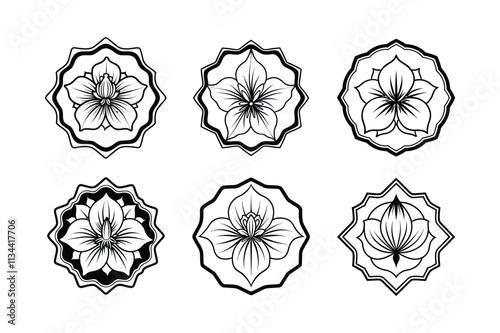 Abutilon flowers design, labeled medium line art vector illustration. photo