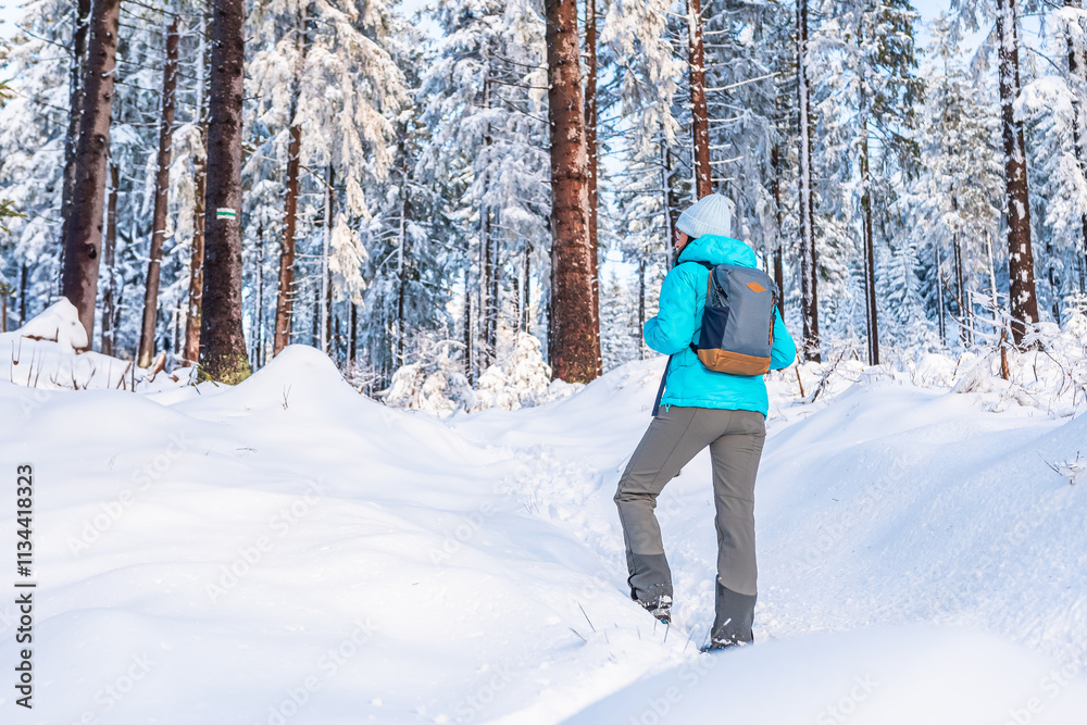 Eastern Sudetes, Young woman hikes on a mountain snow-covered trail, walks on white snow through the forest and looks at the snow-covered trees, winter landscape in the mountains.