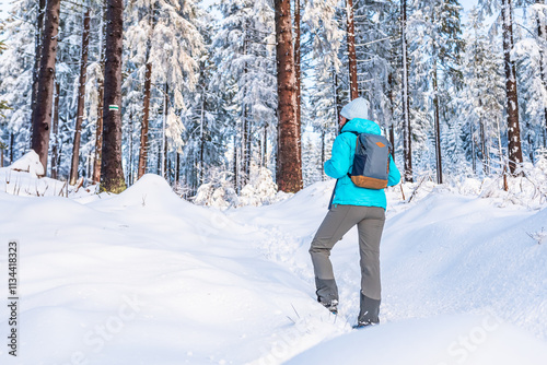 Obraz na płótnie Eastern Sudetes, Young woman hikes on a mountain snow-covered trail, walks on white snow through the forest and looks at the snow-covered trees, winter landscape in the mountains. w salonie