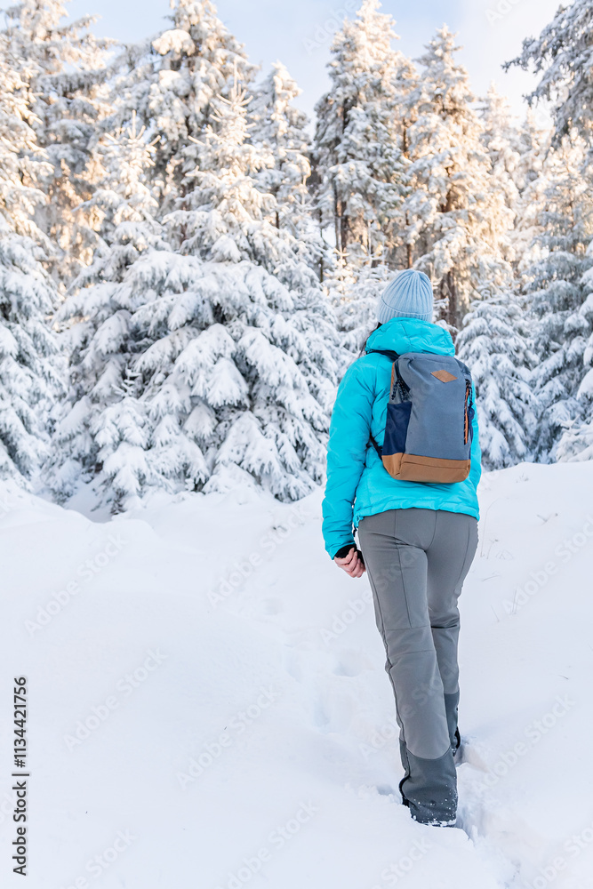 Eastern Sudetes, Young woman hikes on a mountain snow-covered trail, walks on white snow through the forest and looks at the snow-covered trees, winter landscape in the mountains.