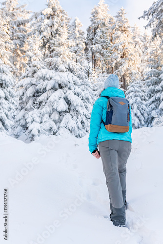 Obraz na płótnie Eastern Sudetes, Young woman hikes on a mountain snow-covered trail, walks on white snow through the forest and looks at the snow-covered trees, winter landscape in the mountains. w salonie