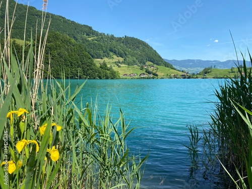 Lake Lungern or Natural reservoir Lungerersee - Canton of Obwald, Switzerland (Naturstausee Lungernsee oder Lungerensee - Kanton Obwald, Schweiz) photo