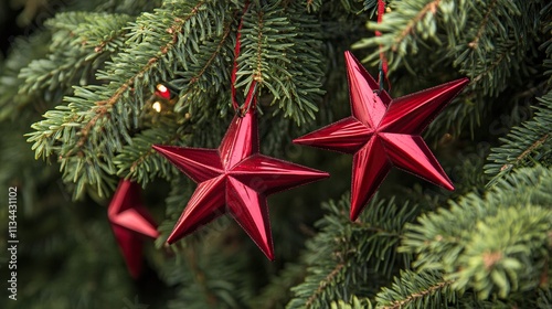 Close-up of vibrant red star-shaped Christmas decorations hanging on lush green pine tree branches, festive holiday ornamentation, traditional seasonal decor, winter celebration ambiance