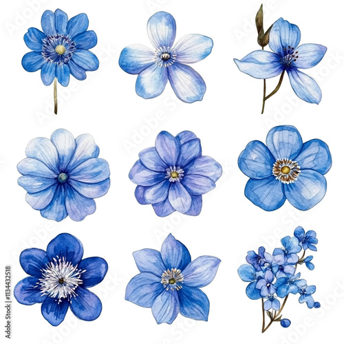 Collection of Nine Watercolor Blue Flowers