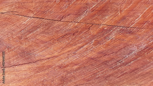 Wood background and texture. patterns, old, ancient, space for work, vintage wallpaper, close up.