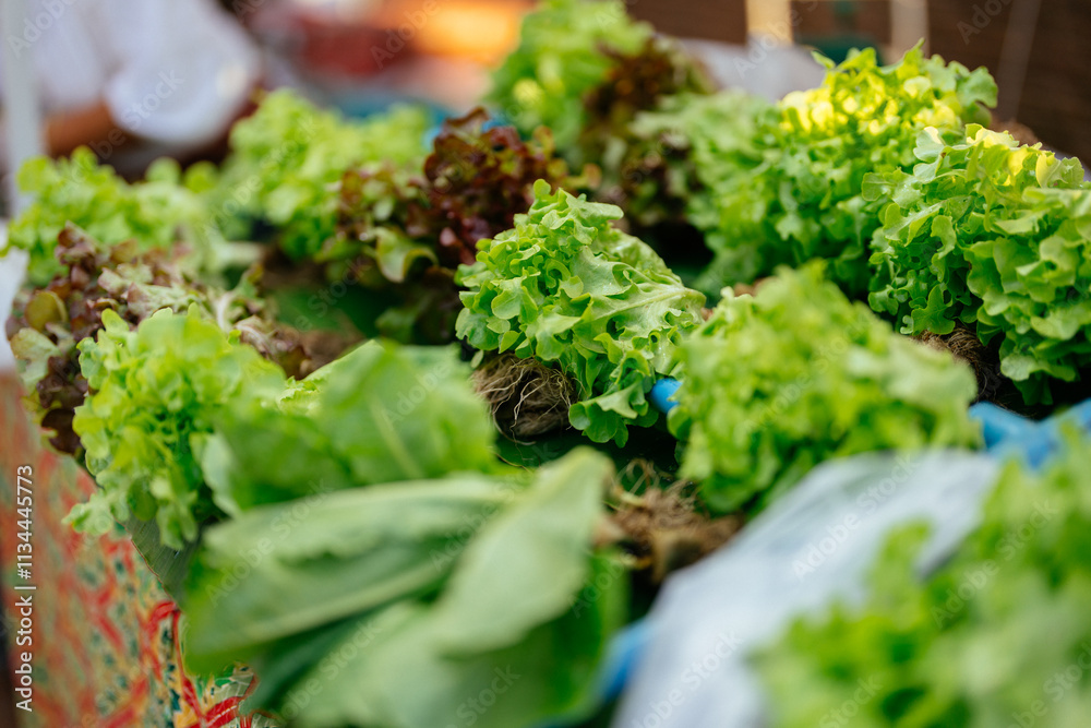 Many Asian farmers are turning to organic farming techniques to meet the growing demand for healthier vegetables, which are now widely available in local markets across the region.