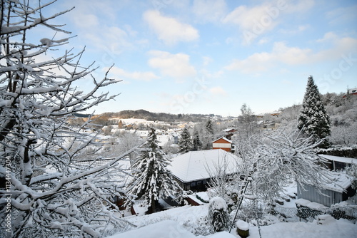 A view from the balcony at the village in winter photo