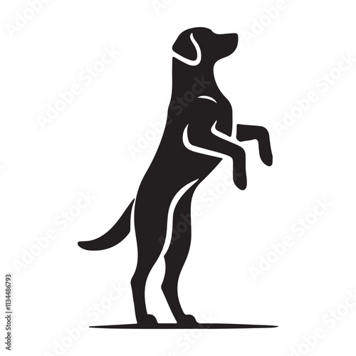 silhouette of a Labrador Retriever Playfully Standing on Hind Legs