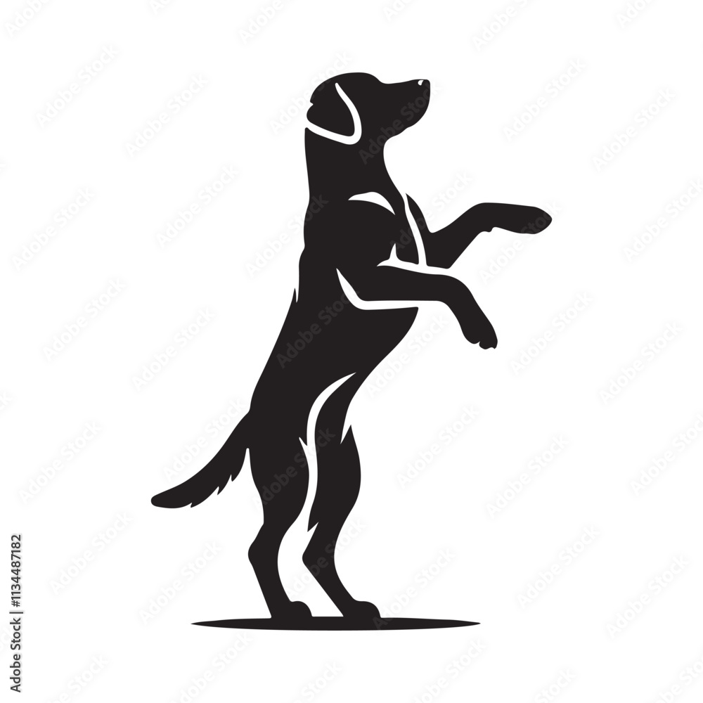 silhouette of a Labrador Retriever Playfully Standing on Hind Legs silhouette of a Labrador Retriever Playfully Standing on Hind Legs