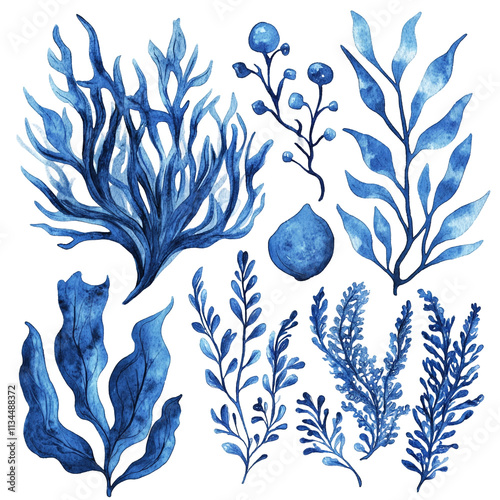 Underwater Watercolor Botanicals: A Deep Blue Ocean Fantasy photo