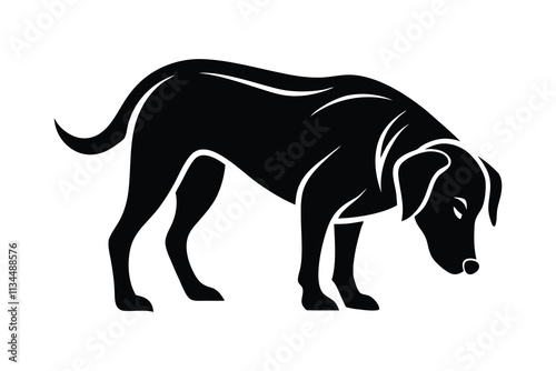 silhouette of a Labrador Retriever sniffing the ground attentively.