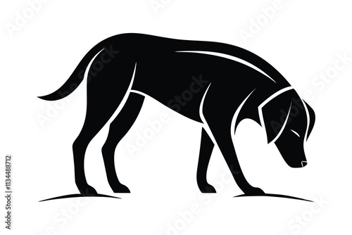 silhouette of a Labrador Retriever sniffing the ground attentively.