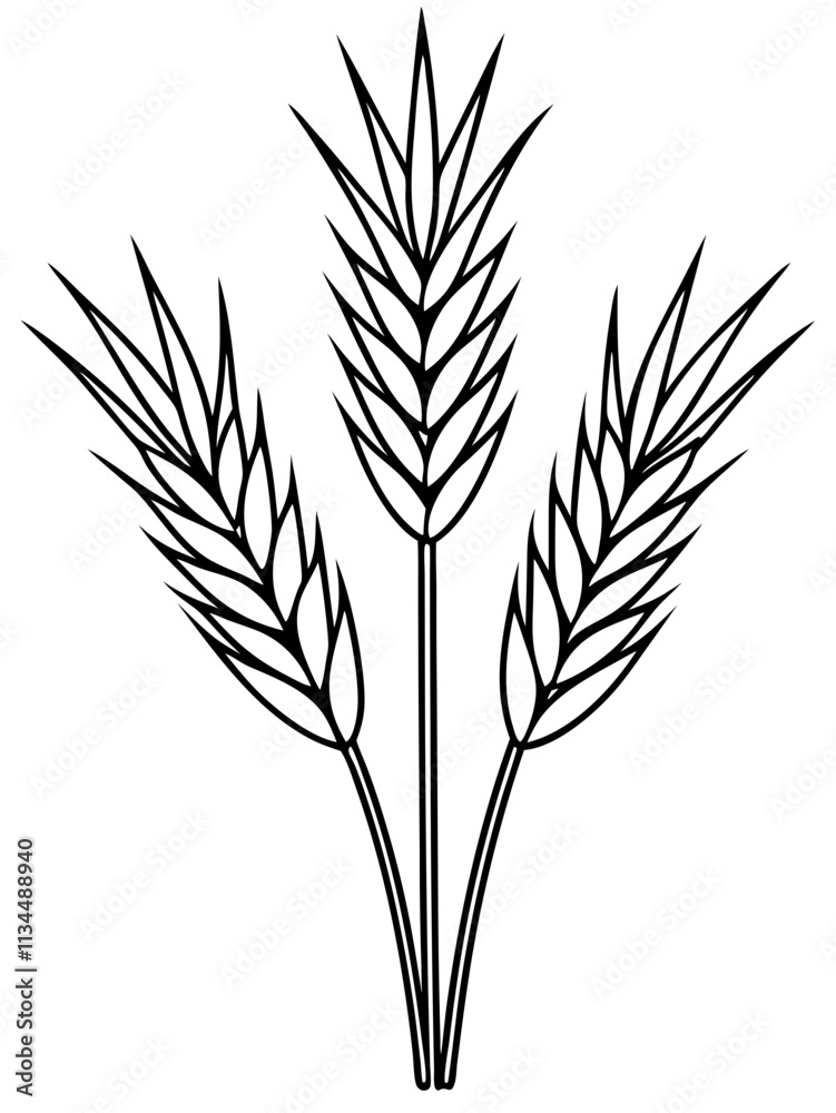 Artistic Woodcut-Style Wheat Drawing: Rustic Illustrations of Wheat Plants in Vintage Design.
