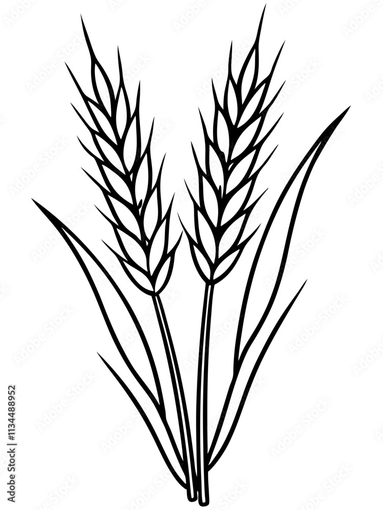 Artistic Woodcut-Style Wheat Drawing: Rustic Illustrations of Wheat Plants in Vintage Design. Artistic Woodcut-Style Wheat Drawing: Rustic Illustrations of Wheat Plants in Vintage Design.