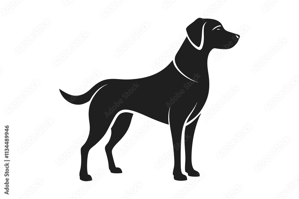 Minimalistic Labrador Retriever Silhouette Standing Alert with Wagging Tail Minimalistic Labrador Retriever Silhouette Standing Alert with Wagging Tail