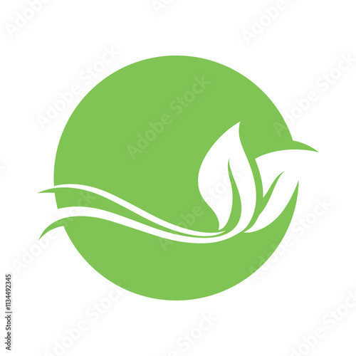 Nature leaf eco green logo icon photo