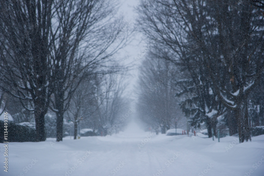 Gentle snowfall on a quiet suburban street, shallow focus. Gentle snowfall on a quiet suburban street, shallow focus.