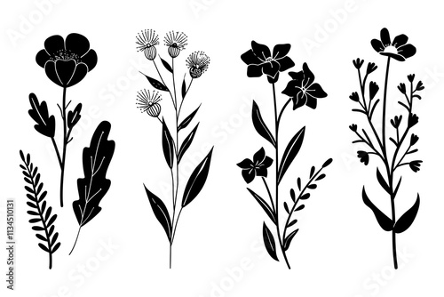 Adobe Illustrator Artwork