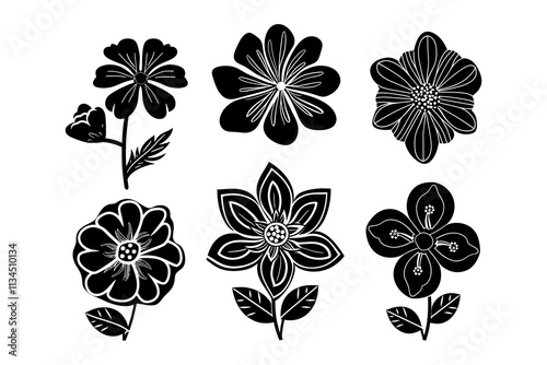 Adobe Illustrator Artwork